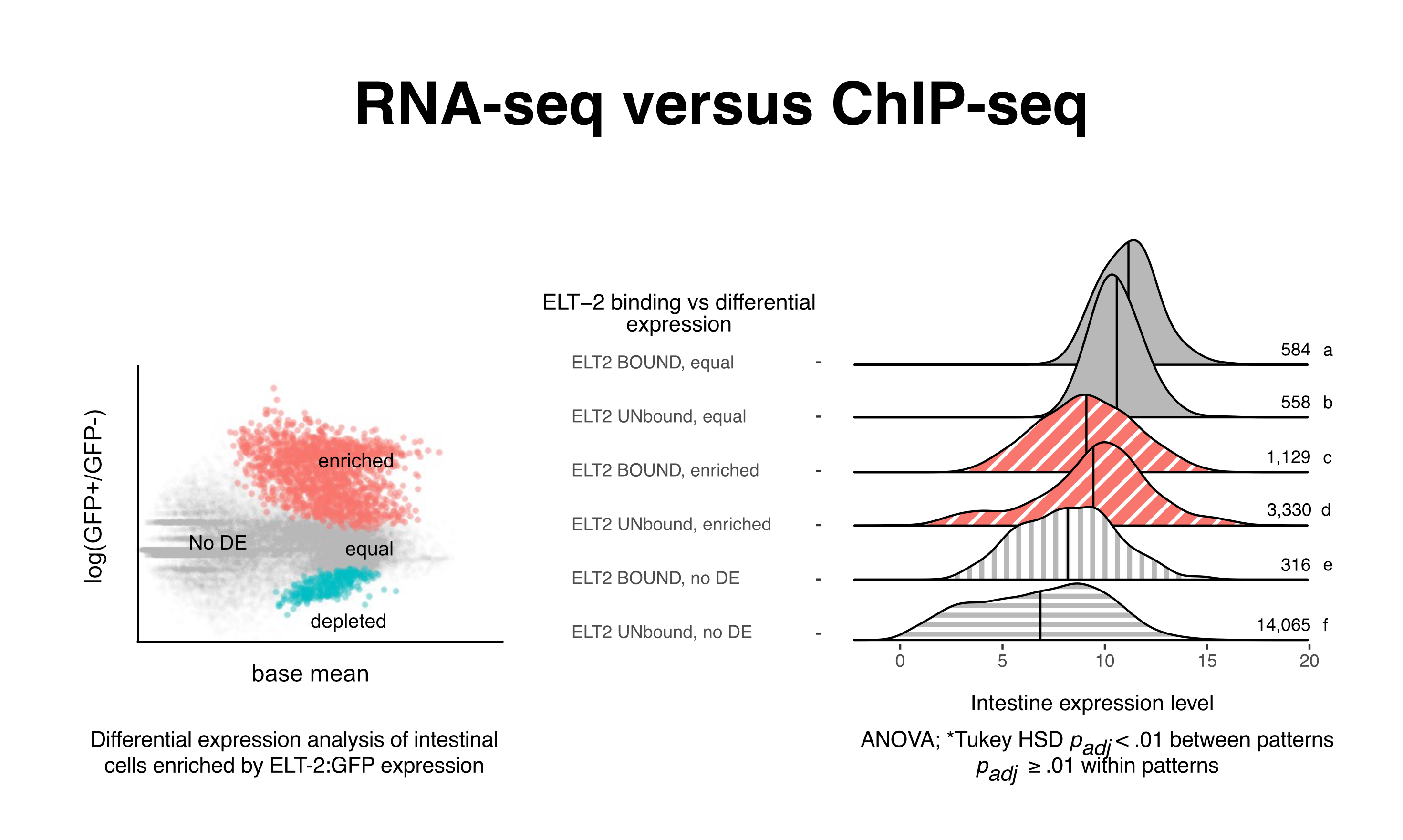 Analysis and Algorithms