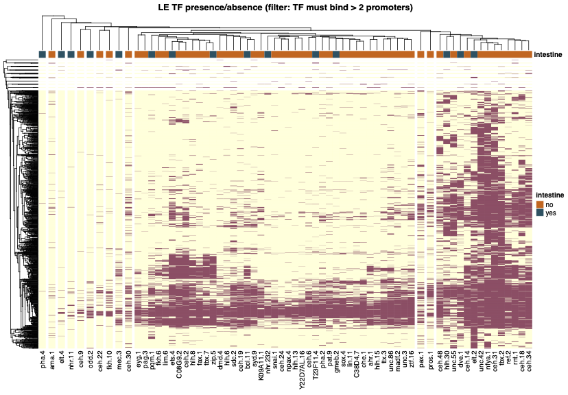 Heatmap of other transcription factors